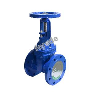 Rising Stem Flange Gate Valve
